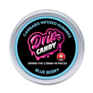 Alternative view of Blueberry Infused Gummies 300MG THC