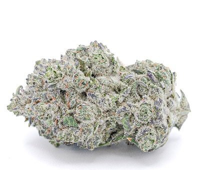 Ice Cream Cake Strain DE