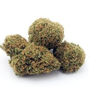 Lemon Zkittlez Marijuana DE