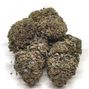 Blue Cheese Strain DE