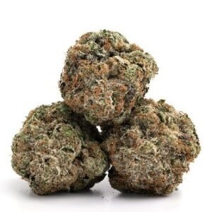 Bubblegum Gelato Strain DE