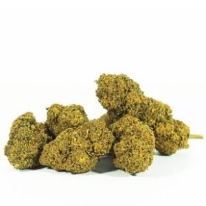 Mango Haze Strain DE