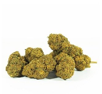 Mango Haze Strain DE