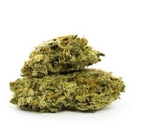 Hindu Kush Weed DE