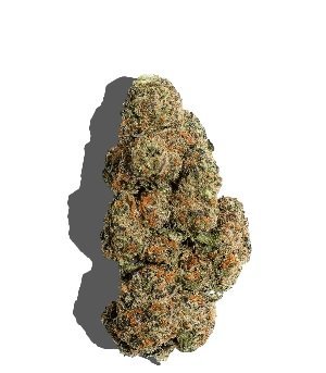 Apple Mintz Marijuana DE