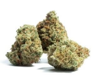 Black Cherry Gelato Marijuana DE