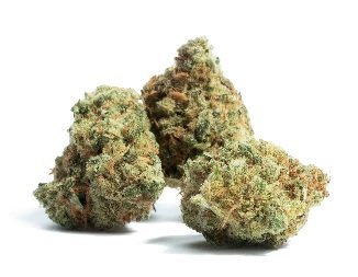 Black Cherry Gelato Marijuana DE