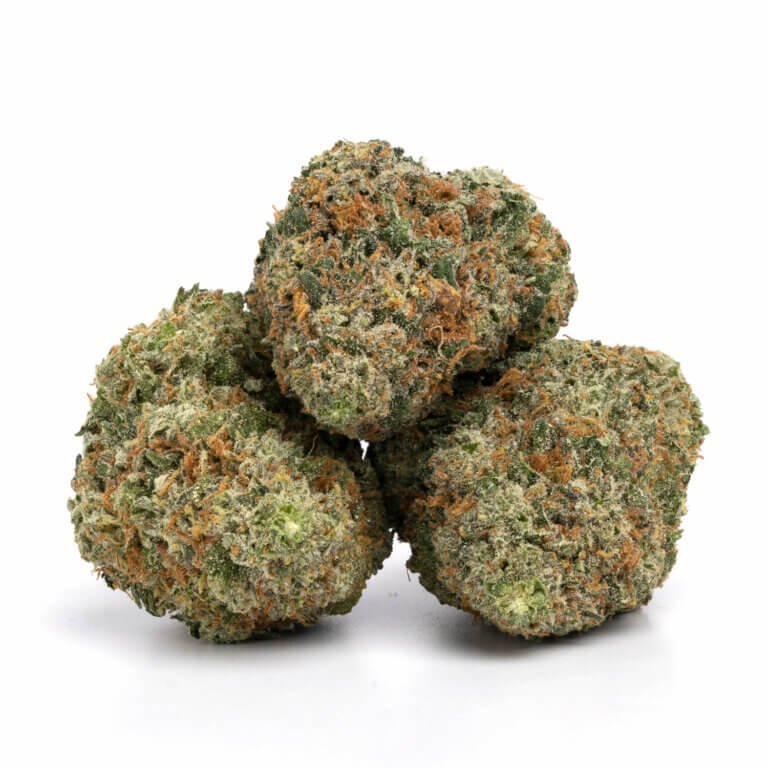 Citrus Haze Marijuana DE