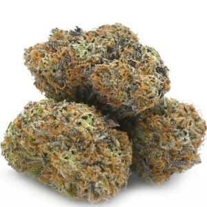 French Toast Weed DE