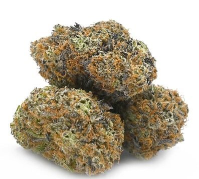 French Toast Weed DE