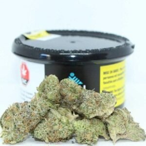 Gelato Mintz Cannabis DE