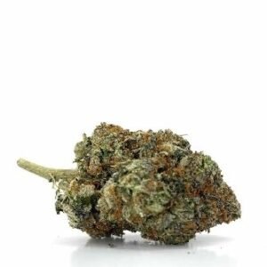 Stardawg Strain DE