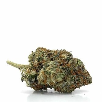 Stardawg Strain DE
