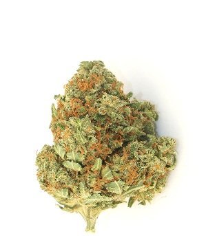 Watermelon Z Weed DE