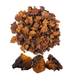 CHAGA DRIED MUSHROOM DE