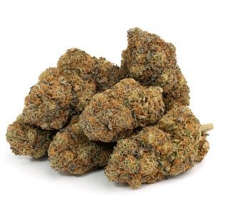 Blueberry Cookies Weed DE